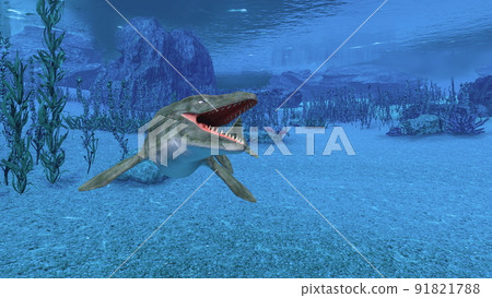 海洋生物 海洋生物 91821788