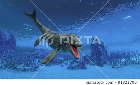 海洋生物 海洋生物 91821790