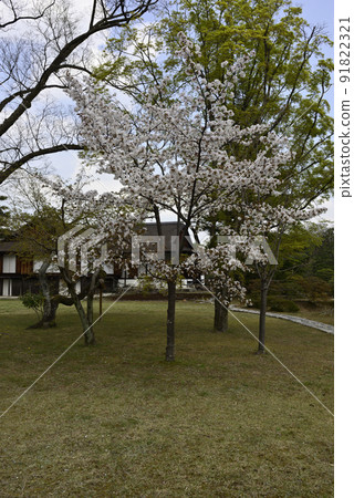Katsura Rikyu Shogunin 91822321