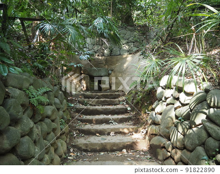 Scenery of Todoroki Ravine, the only valley in the 23 wards of Tokyo Scenery of Todoroki Ravine, the only valley in the 23 wards of Tokyo 91822890