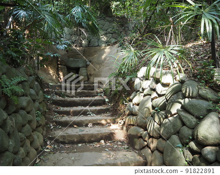 Scenery of Todoroki Ravine, the only valley in the 23 wards of Tokyo 91822891