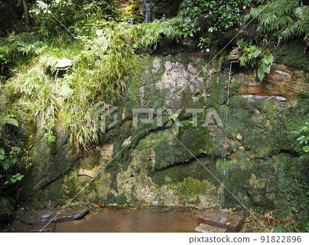 Scenery of Todoroki Ravine, the only valley in the 23 wards of Tokyo 91822896