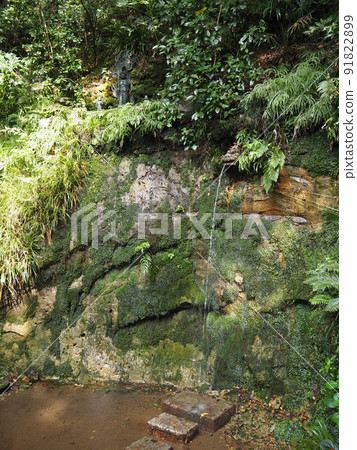 Scenery of Todoroki Ravine, the only valley in the 23 wards of Tokyo 91822899