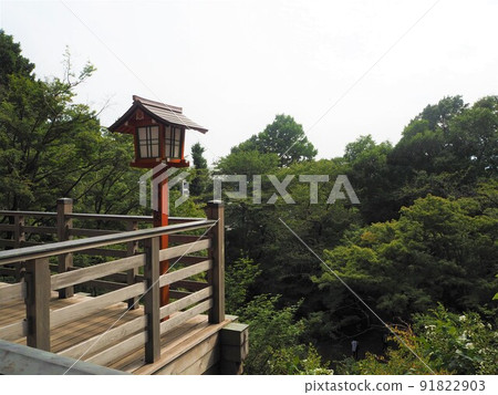 Scenery of Todoroki Ravine, the only valley in the 23 wards of Tokyo 91822903