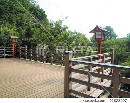 Scenery of Todoroki Ravine, the only valley in the 23 wards of Tokyo 91822907