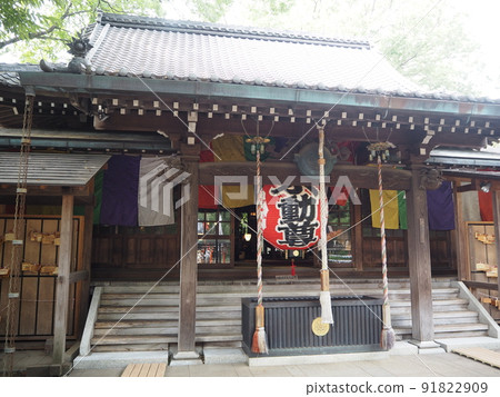 Scenery of Todoroki Ravine, the only valley in the 23 wards of Tokyo 91822909