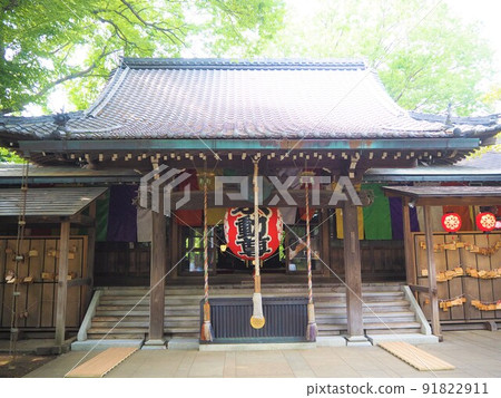 Scenery of Todoroki Ravine, the only valley in the 23 wards of Tokyo 91822911