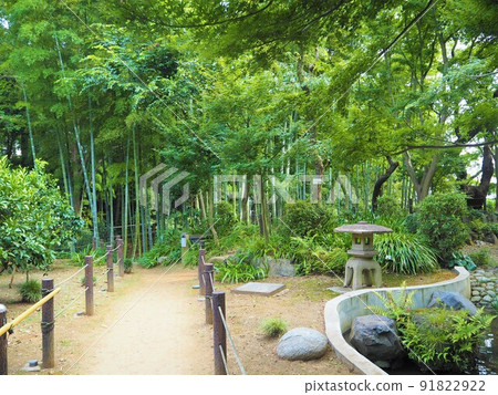 Scenery of Todoroki Ravine, the only valley in the 23 wards of Tokyo 91822922
