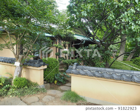 Scenery of Todoroki Ravine, the only valley in the 23 wards of Tokyo 91822923