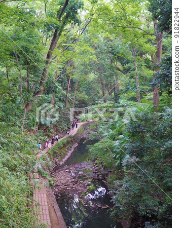 Scenery of Todoroki Ravine, the only valley in the 23 wards of Tokyo 91822944