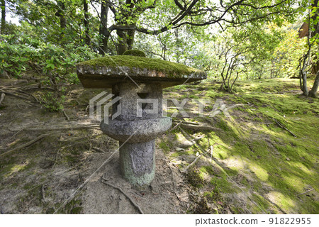 Katsura Rikkai Water Lilies Stone Lamp Bag 91822955