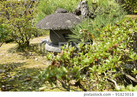 Katsura Rikyu Katsura Rikyu 91823018