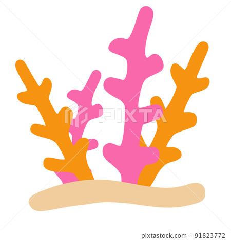 Corals on reef. Underwater plants. Exotic tropical undersea. Corals on reef. Underwater plants. Exotic tropical undersea. 91823772