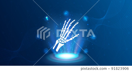 anatomy, bone, hand 91823906