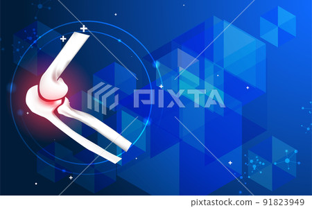 anatomy, bone, skeleton - Stock Illustration [91823949] - PIXTA