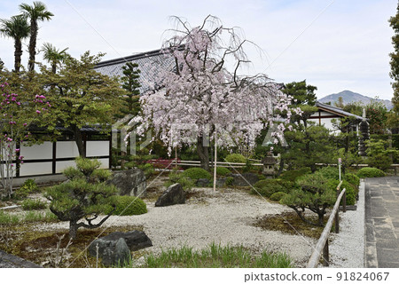 Itozakura, Itozakura Itozakura, Itozakura 91824067