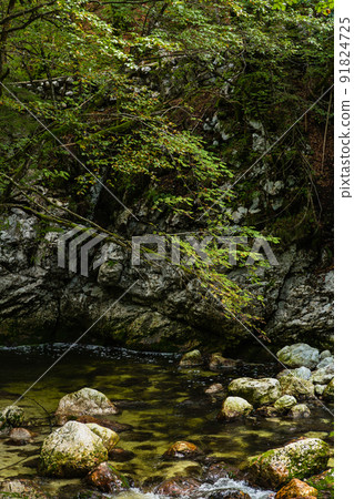 Sava Bohinka flowing from Savica Waterfall in Bohini, Slovenia Sava Bohinka flowing from Savica Waterfall in Bohini, Slovenia 91824725