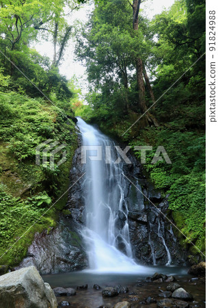 [Fukui City, Fukui Prefecture, July] Water thread of Ichijo Falls, a place related to Kojiro Sasaki 91824988