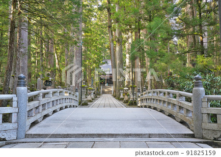 [Koyasan Okunoin Mitobashi] Koyasan, Koyacho, Ito-gun, Wakayama Prefecture 91825159