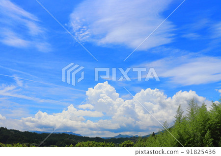 Summer blue sky cloud mountain bamboo grove Summer blue sky cloud mountain bamboo grove 91825436