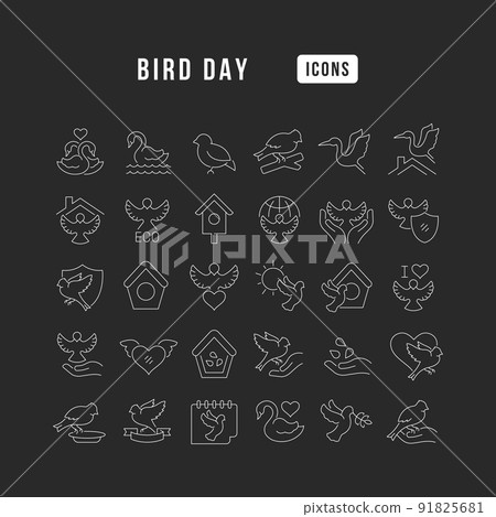 Set vector line thin icons of bird day in linear design for mobile concepts and web apps. Collection modern infographic pictogram and signs. 91825681