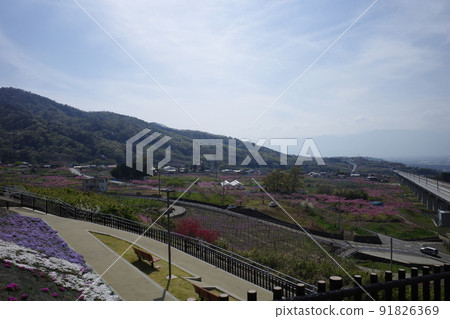 從山梨縣笛吹市的加長山展望台看到的直線試驗線和桃花的春天景色 91826369