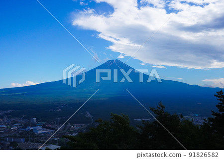 Mount Fuji seen from the tick Mount Fuji seen from the tick 91826582
