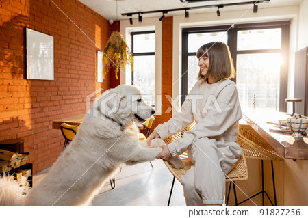 Woman playing with her white dog in the living room at home 91827256