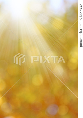 Autumn sunshine texture background Autumn sunshine texture background 91827532