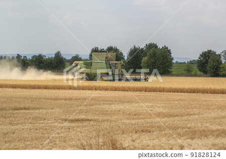 harvester harvests the cornfield harvester harvests the cornfield 91828124