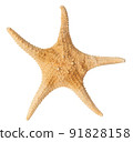 Starfish ocean isolated on white with clipping path 91828158