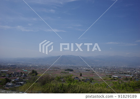 山梨縣笛吹市花取山一本杉公園的桃花春景 91829189