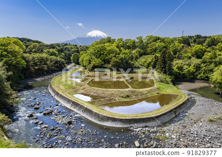 靜岡縣小山町、河中的梯田和殘雪的富士山 91829377