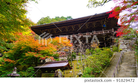 Autumn leaves and Engyoji Temple 91829472