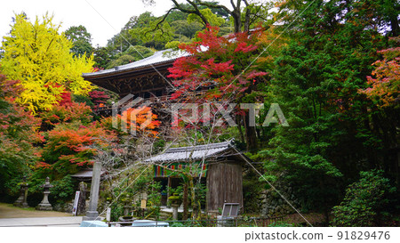 秋葉和圓教寺 91829476