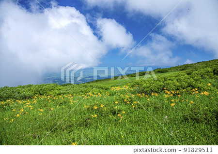 Tsukiyama Midagahara 91829511