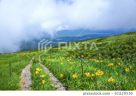 Tsukiyama Midagahara 91829530