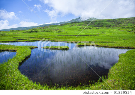 Tsukiyama Midagahara 91829534