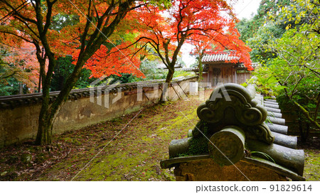秋葉和圓教寺 91829614