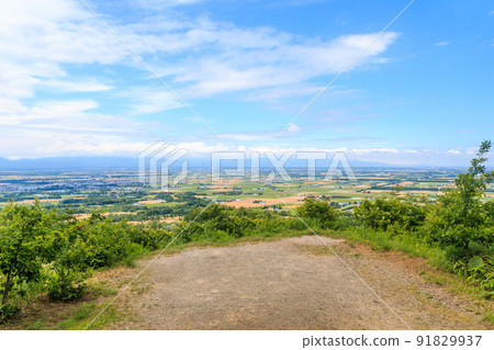 從北海道長沼町真井文學桌看到的夏日石狩平原[7月] 91829937