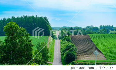 Hokkaido A straight road that goes on forever Hokkaido A straight road that goes on forever 91830037