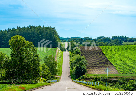 北海道 永遠前行的筆直道路 91830040