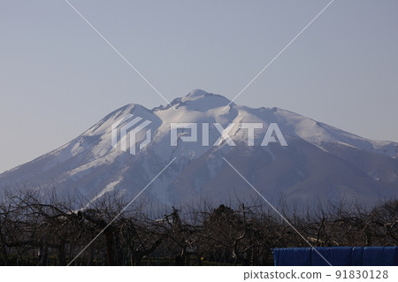春天的岩木山（青森縣弘前市） 91830128