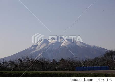 春天的岩木山（青森縣弘前市） 91830129