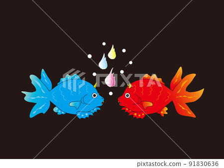 金魚 金魚 91830636