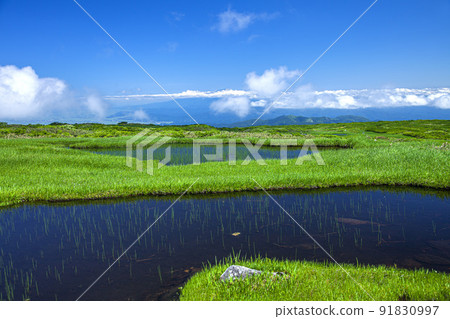 Tsukiyama Midagahara 91830997