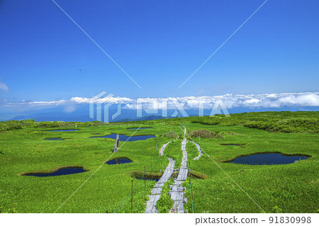 Tsukiyama Midagahara Tsukiyama Midagahara 91830998