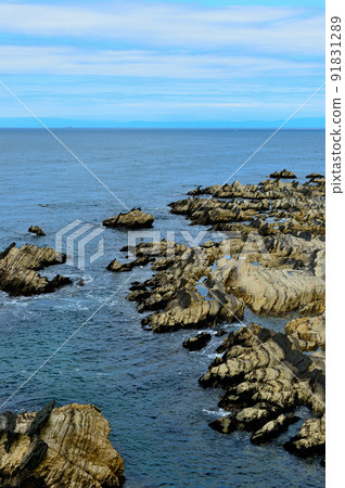 三浦半島荒崎里亞斯海岸風光 三浦半島荒崎里亞斯海岸風光 91831289