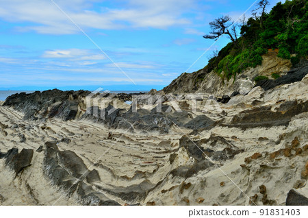 三浦半島荒崎里亞斯海岸風光 三浦半島荒崎里亞斯海岸風光 91831403