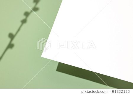 Template paper with plant shadow on pastel green background , great design for any purposes. Abstract background. Banner template. Advertising Template paper with plant shadow on pastel green background , great design for any purposes. Abstract background. Banner template. Advertising 91832133